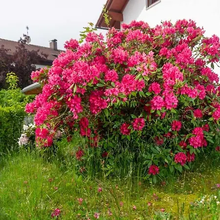 Ferienhaus Frank *